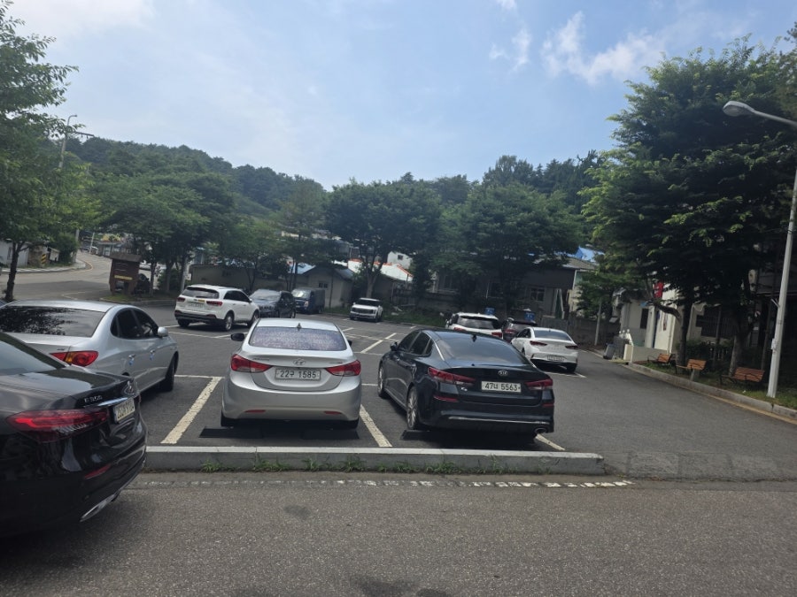 시골집칼국수 사진 4