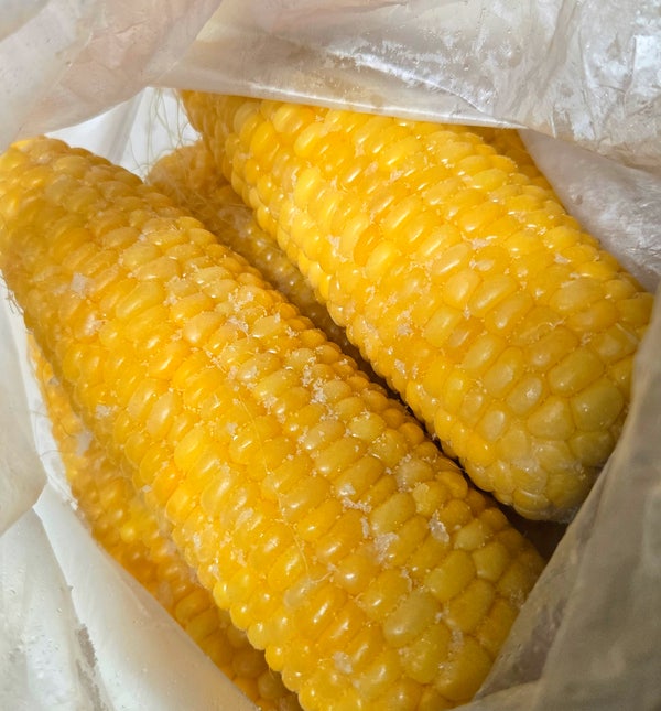 초당옥수수 찌는법 직접 해봤어요 찌는 시간·냉동 보관법까지 한번에