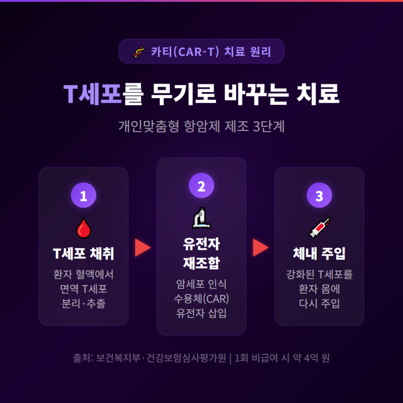 카티 항암치료, 보험으로 보장 될까?