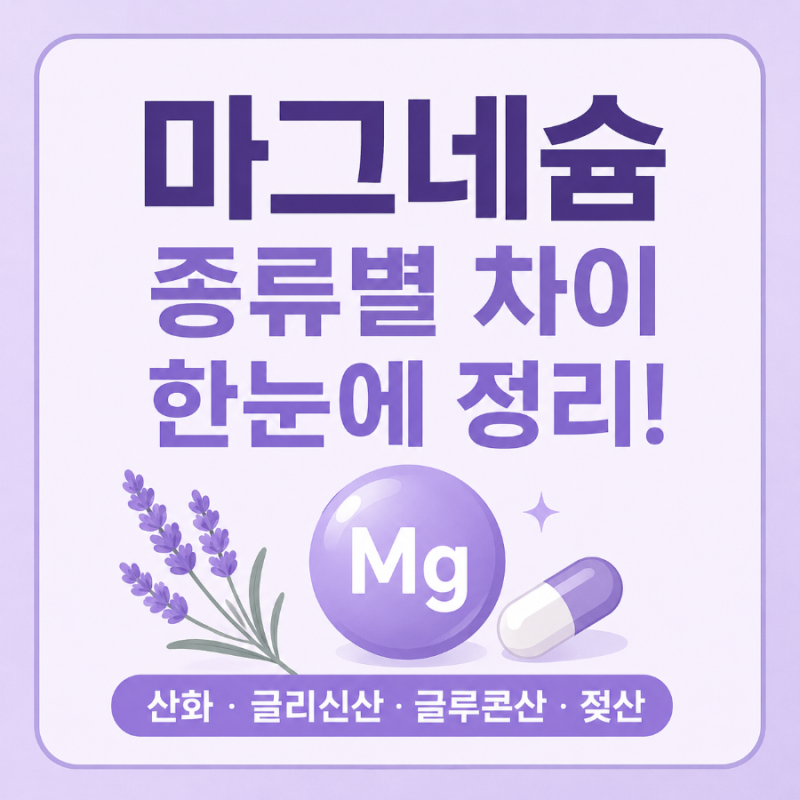 마그네슘 종류별 차이 완벽 정리! 산화마그네슘·글리신산·글루콘산·젖산마그네슘 비교