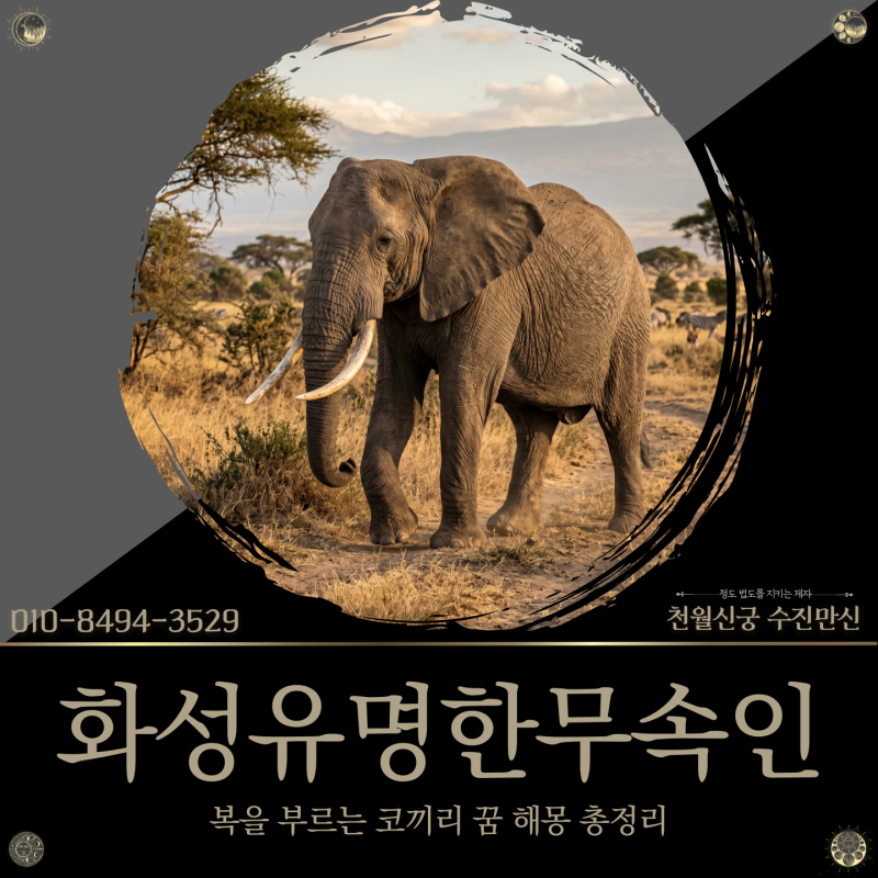 화성유명한무속인, 복을 부르는 코끼리 꿈 해몽 총정리