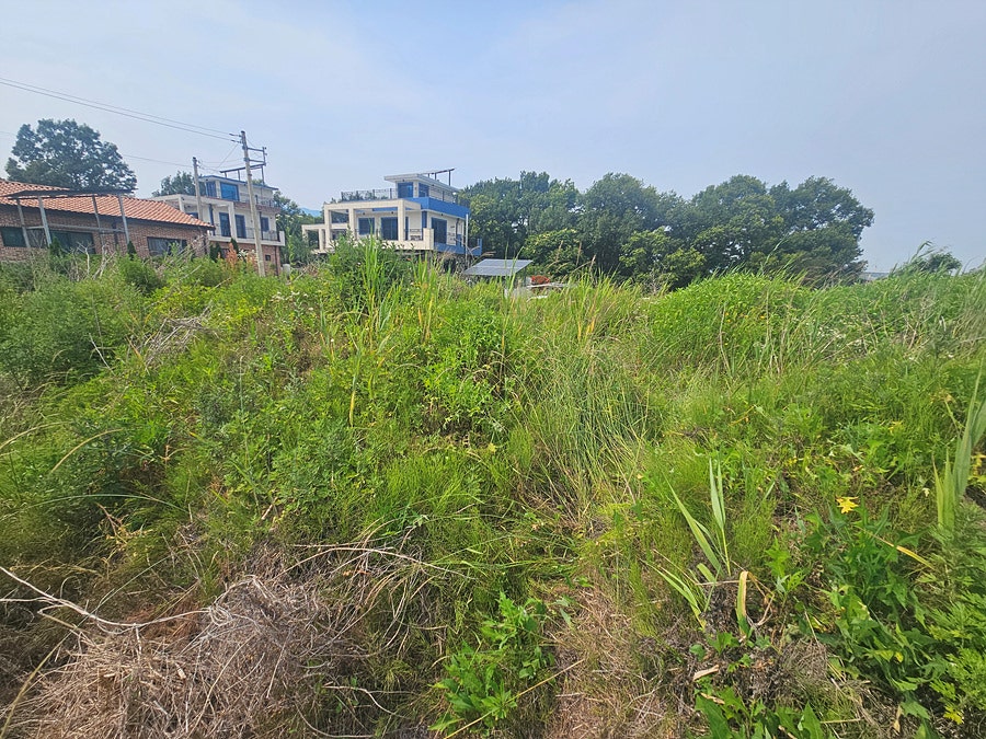 덕정산 사진 5