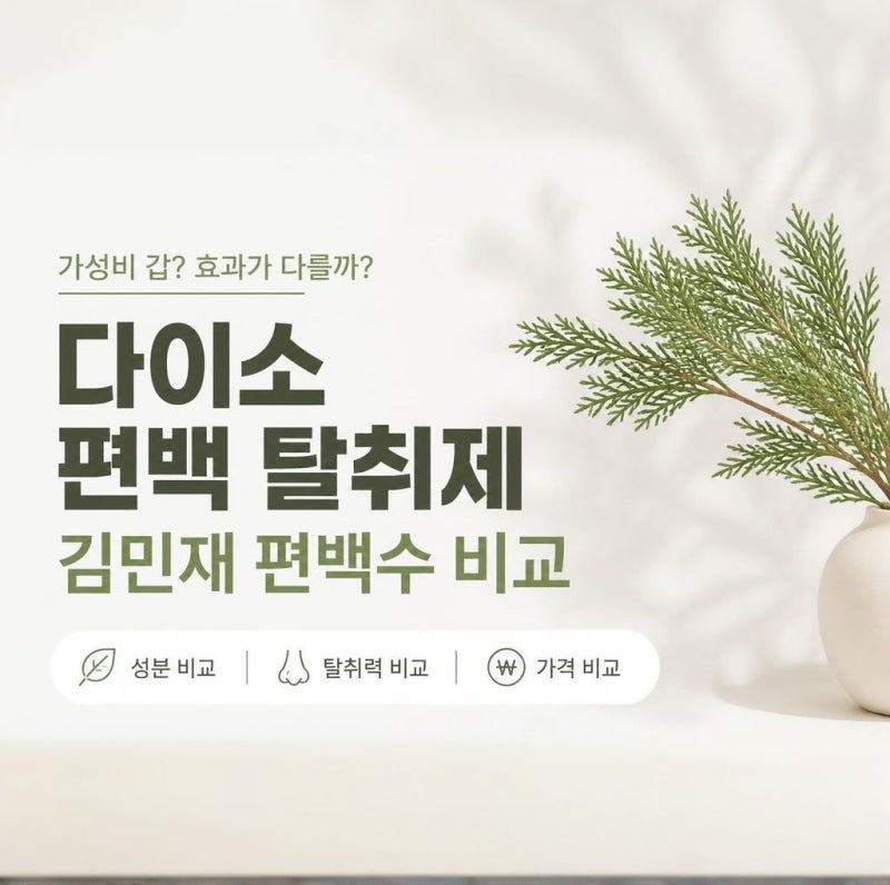 다이소 편백탈취제 vs 김민재 편백수 비교｜직접 써보니 의외의 차이
