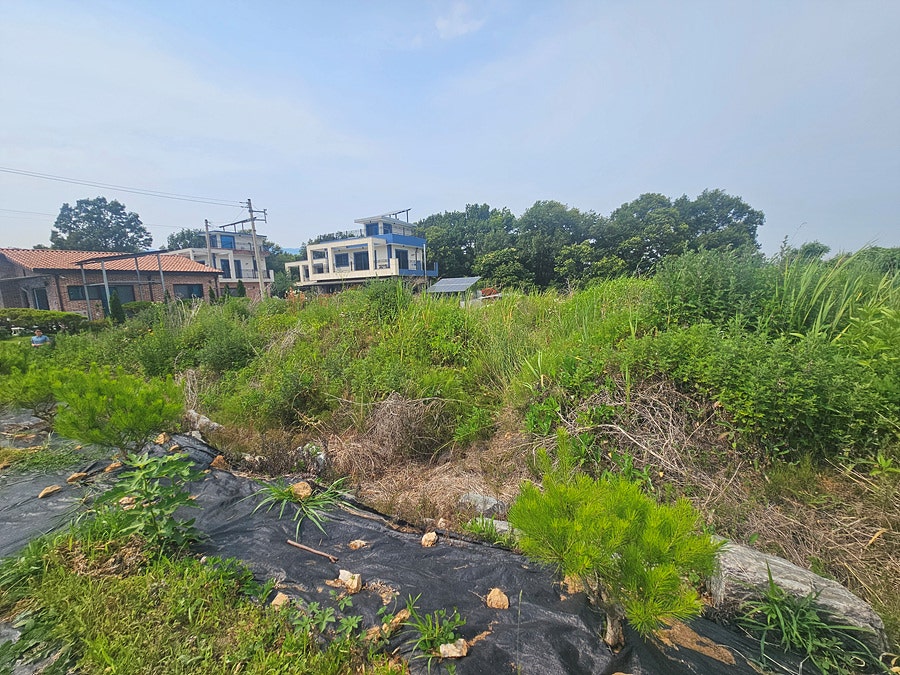 덕정산 사진 3