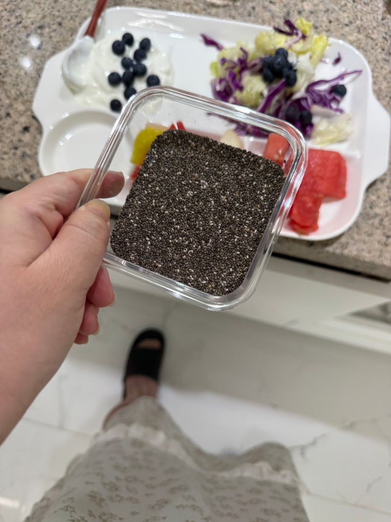 [건강일기] Day44 치아씨드 다이어트 효능, 요거트 불려서 먹어요