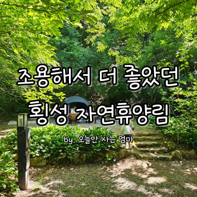 횡성 자연휴양림 A18 사이트 가족 캠핑 후기