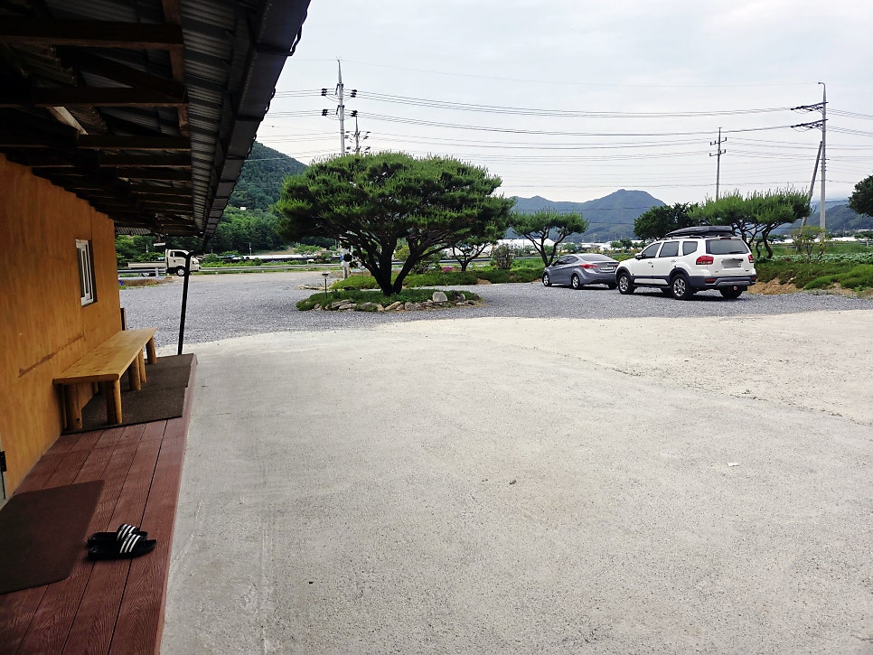 거기매운탕 사진 3
