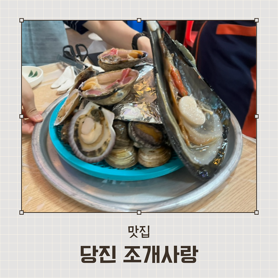 조개사랑 사진 1