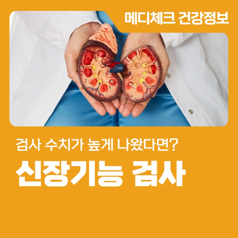 대전 종합검진센터 신장 기능 검사 수치가 높게 나왔다면?