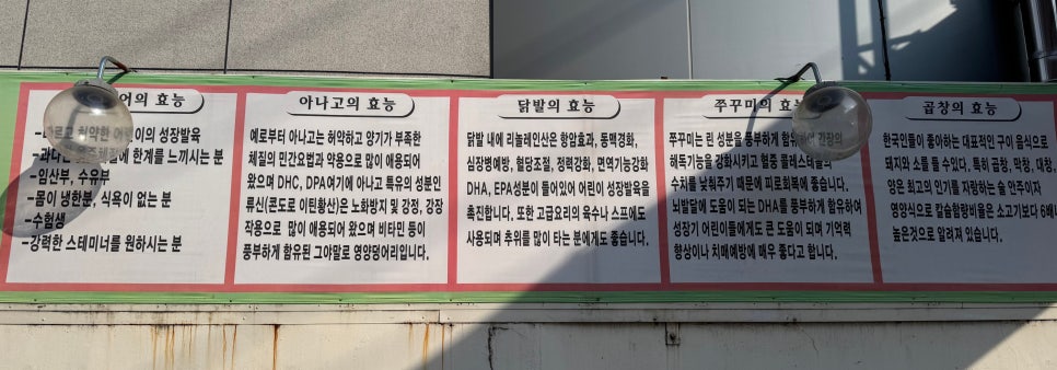 원조산호아나고 사진 3
