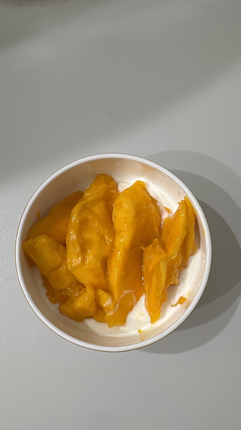 다이어터 직장인 현실적인 식단 ㅣ다이어트 오트밀 추천 및 레시피