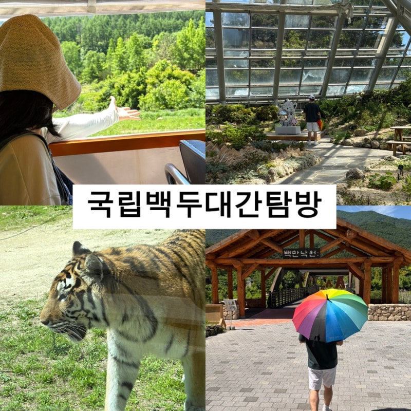 경북 봉화 국립백두대간수목원 호랑이 트램버스 식물원 입장료 여행 후기
