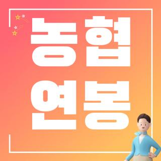 농협 연봉 실수령액 액수 및 구조별 6급 과장 지점장 급여 테이블 리스트 총정리