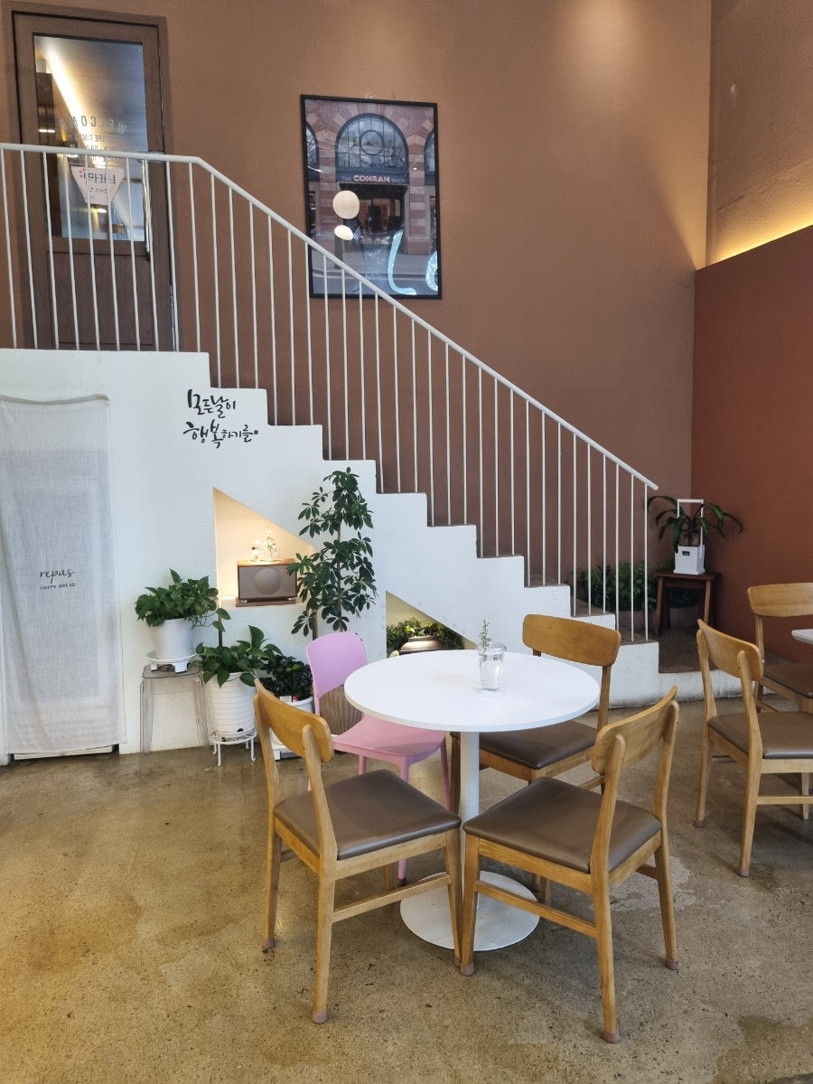 레파스 학동점 사진 4