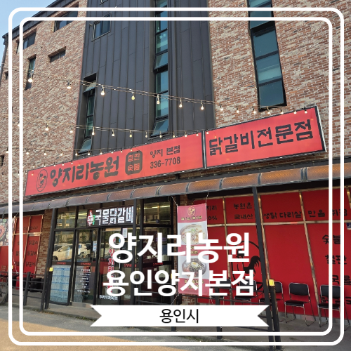  [양지리농원 용인양지본점] 단체룸과 단체석을 갖춘 양지읍닭갈비맛집