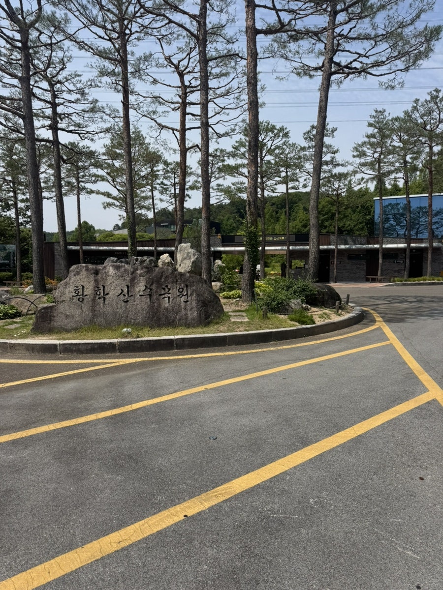 여주온천 사진 6