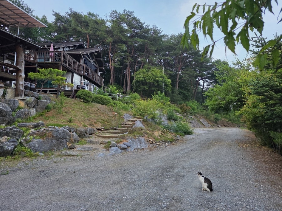 별바라기펜션 사진 1