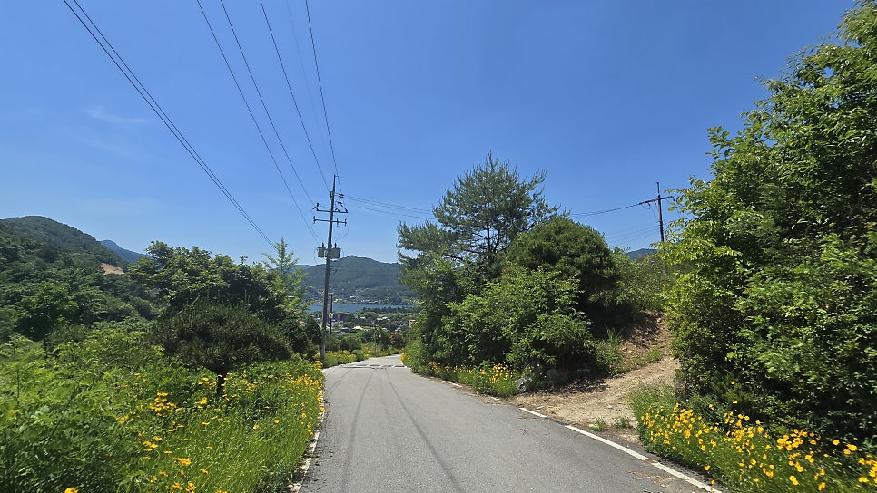 노블레스 사진 5