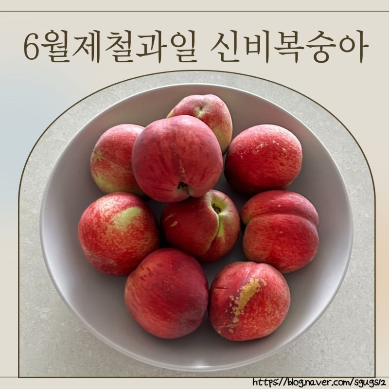 6월 제철과일 프루츠윗 신비복숭아로 복숭아콩포트잼 만들어먹기
