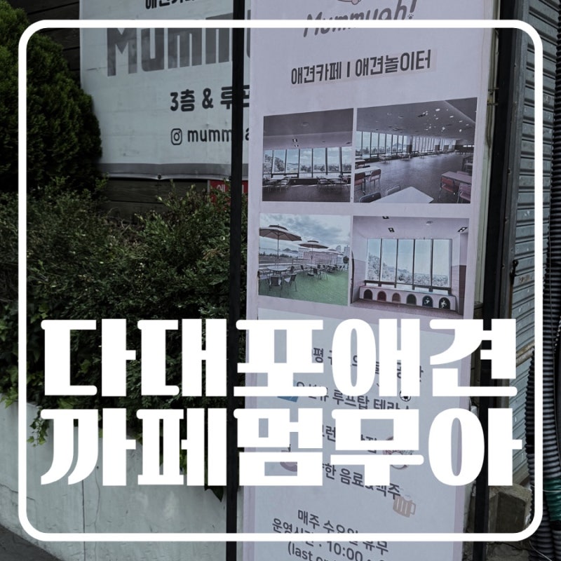 부산애견카페 추천, 실내 100평 애견운동장과 루프탑까지 있는 다대포 멈무아