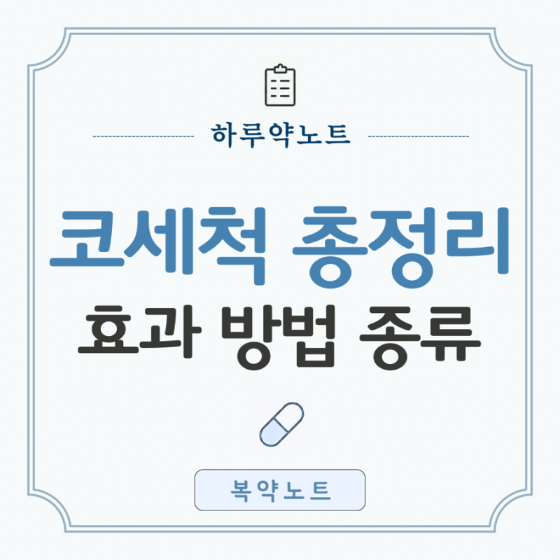 코세척 총정리｜효과, 방법, 종류