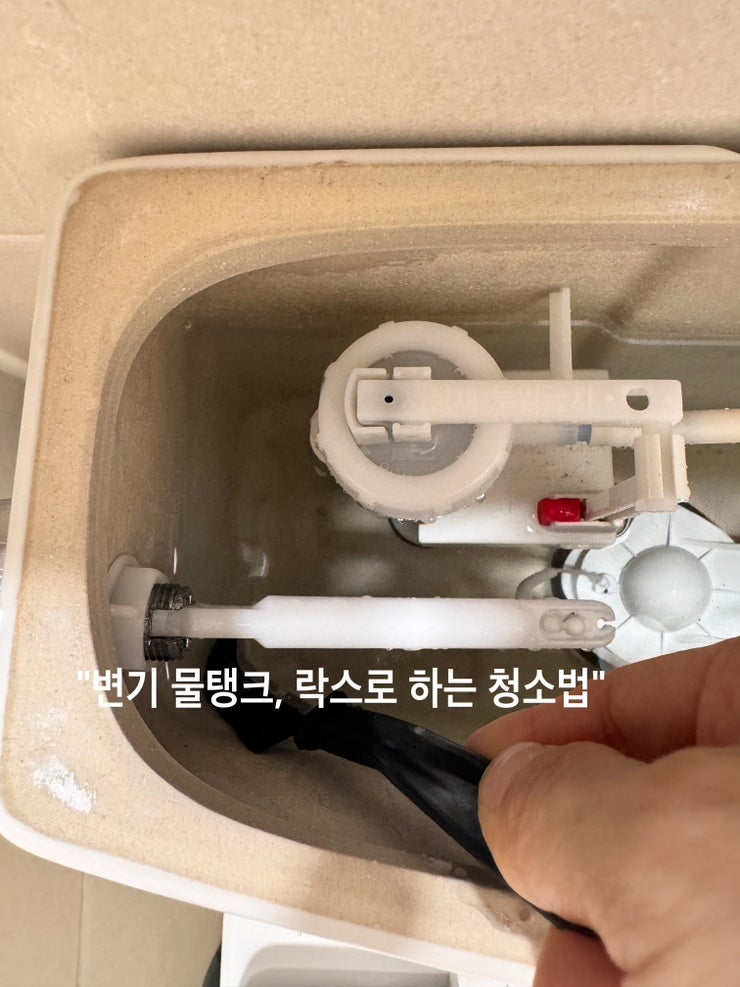변기 물탱크 청소 락스 활용법 욕실관리 욕실위생관리