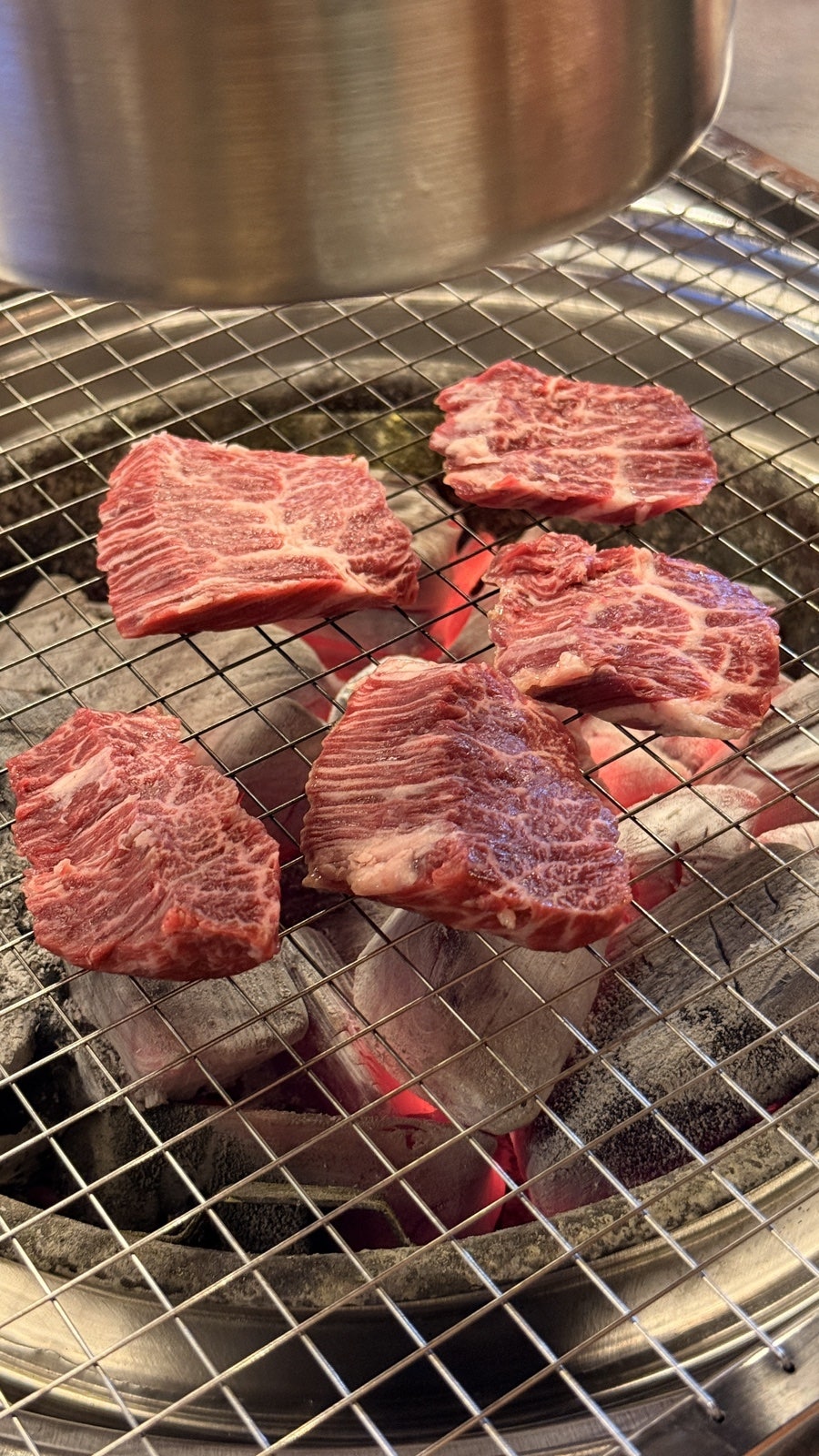 짝귀 사진 4