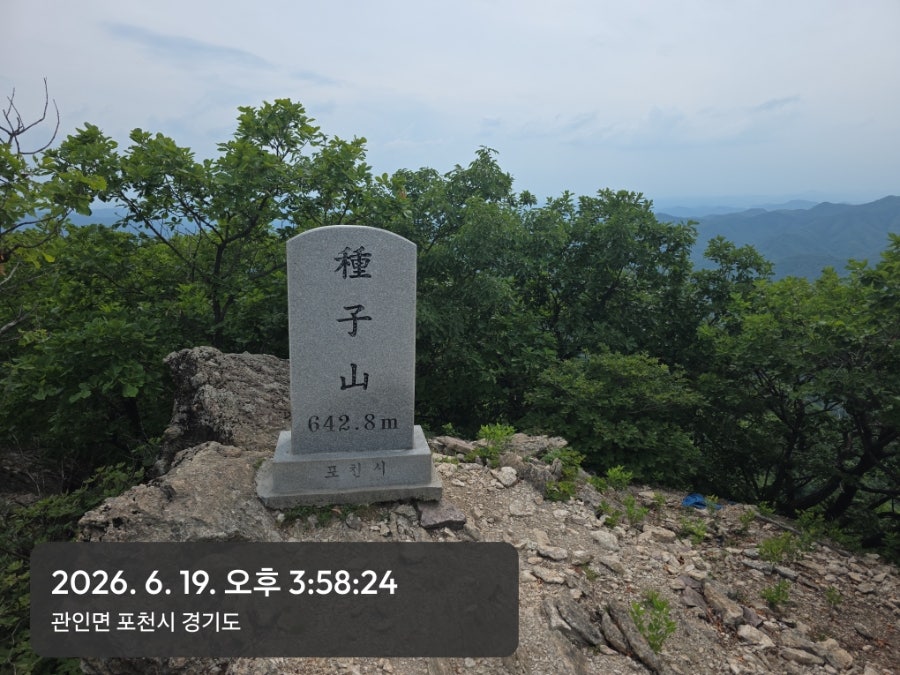 종자산 사진 3