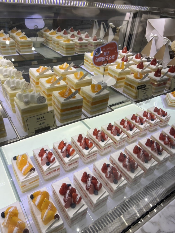 쇼토 사진 5