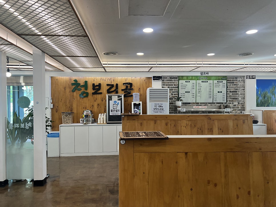 청보리골 사진 3