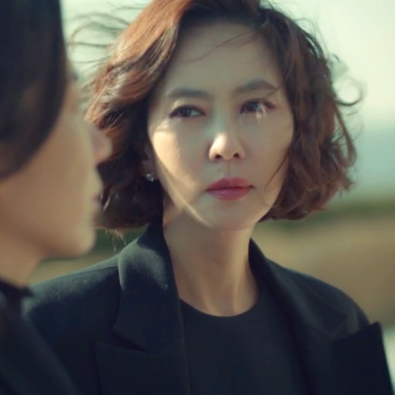 JTBC 금토드라마 미스티 등장인물 김남주 지진희 전혜진 줄거리 결말 정보 2018년 넷플릭스 왓....