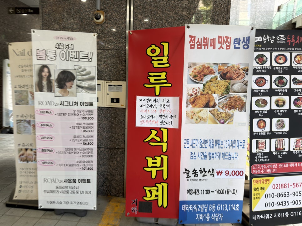 일루 사진 6