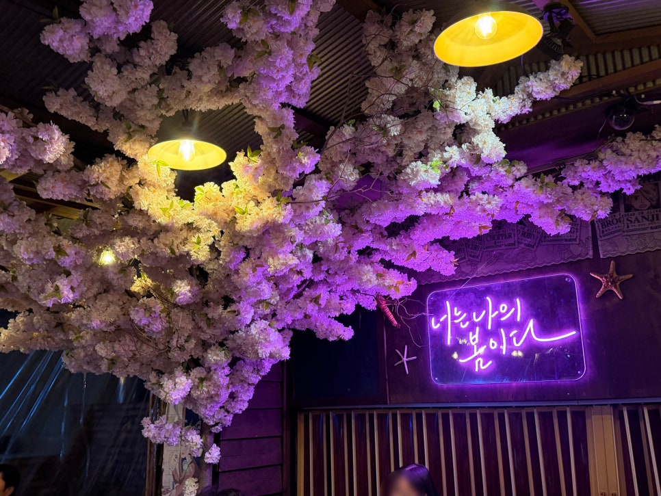 박고볼래 사진 4