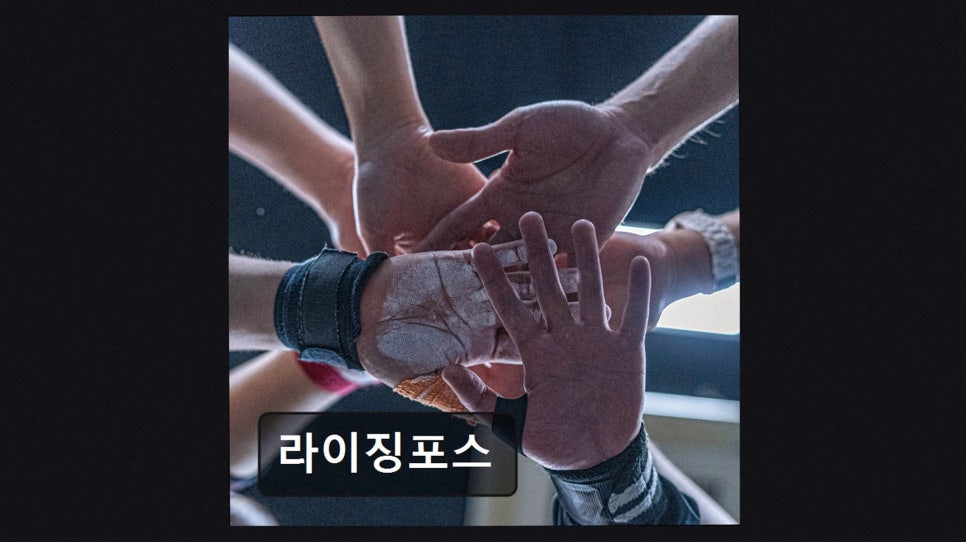 라이징포스 사진 2