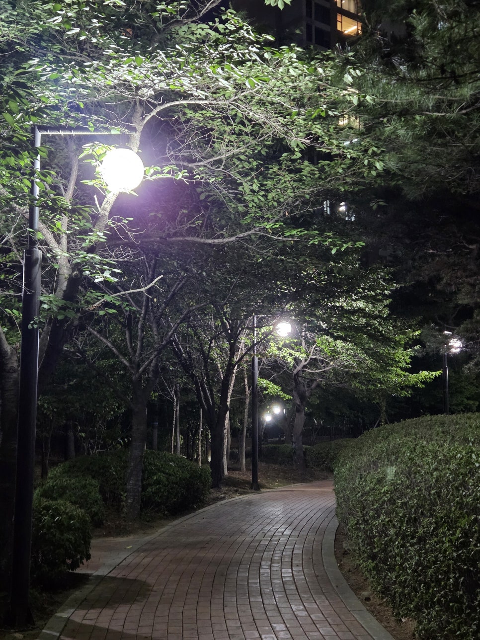 대교장 사진 5