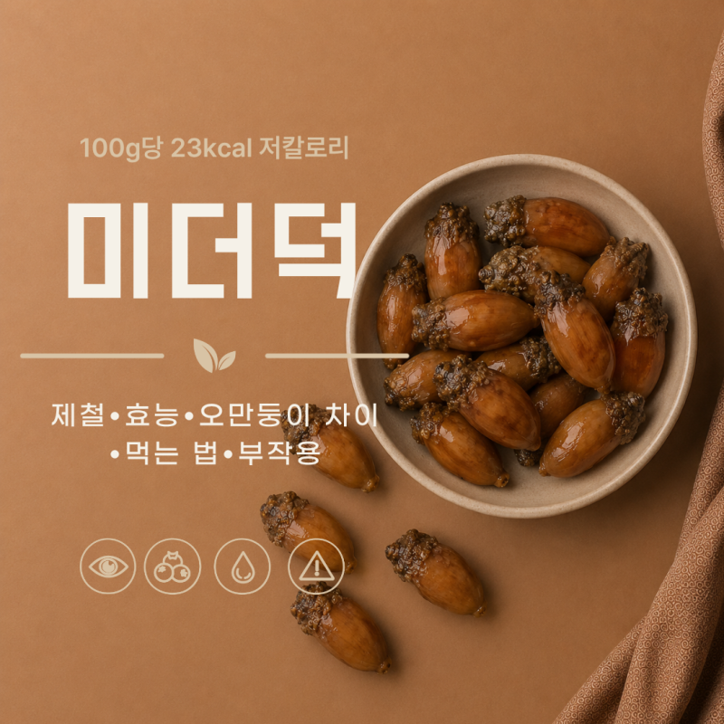 미더덕 제철 핵심 효능 4가지 오만둥이 차이 먹는법 부작용