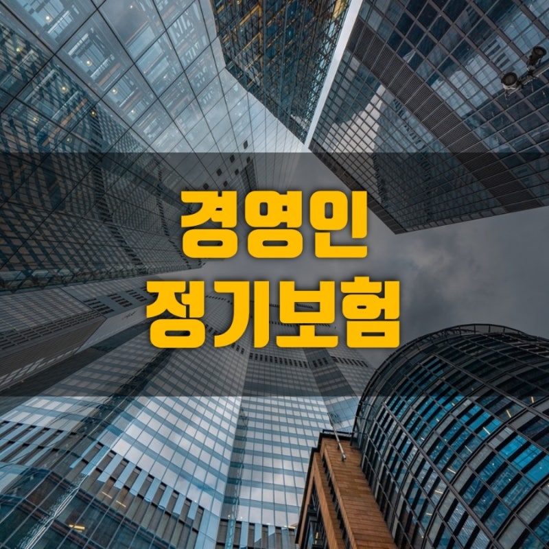법인세 절세 필수! 경영인 정기보험 CEO 퇴직금 마련 비용처리 방법 및 정관 변경 총정리 CEO....