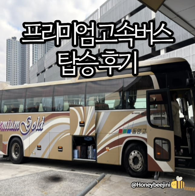 프리미엄 고속버스 탑승후기 - 좌석배열·명당·예매방법 ⭐️