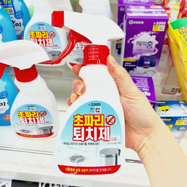  다이소 초파리 스프레이 vs.  트랩, 여름 주방엔 뭐가 더 나을까?