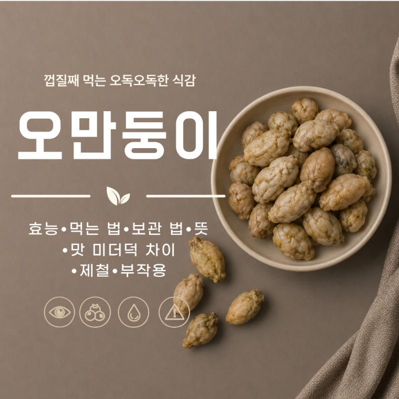 오만둥이 효능 7가지 먹는법 보관법 뜻 맛 미더덕 차이 제철 부작용