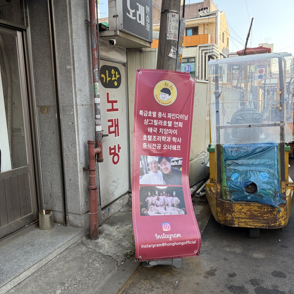 홍홍 사진 2