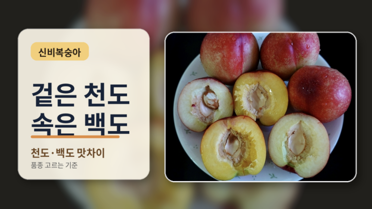  신비복숭아는 왜 신비일까, 천도·백도 맛차이까지