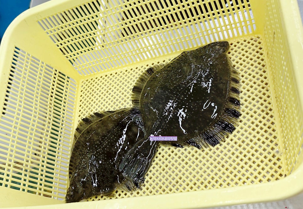 만석식당 사진 3