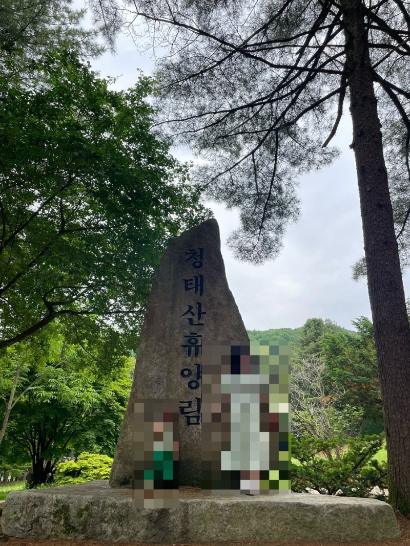 [횡성반값여행] 3일차 지정관광지 인증방법 국립청태산자연휴양림 치유의숲 산책로 횡성스....