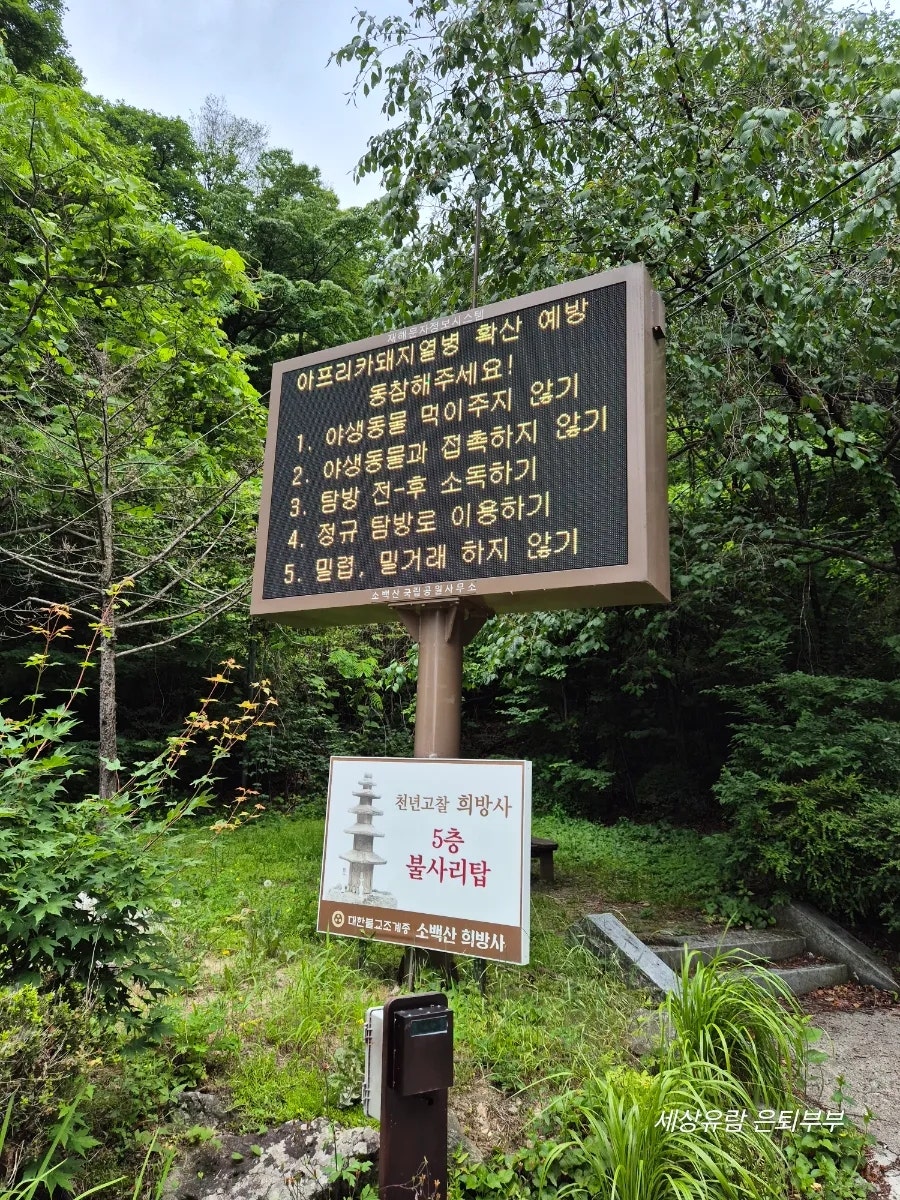 소백산국립공원 사진 4