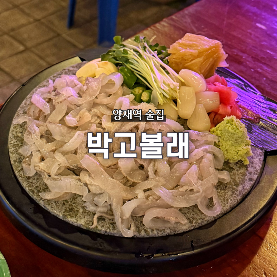 박고볼래 사진 1