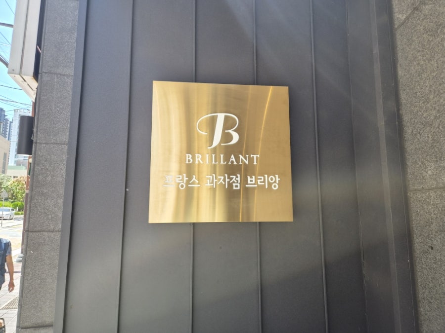 브리앙 사진 2
