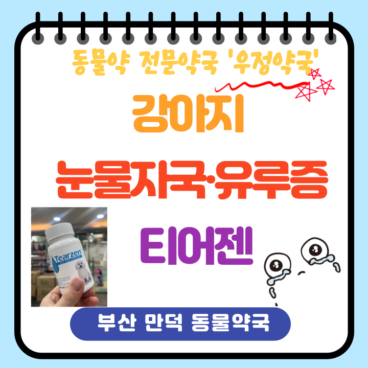 [부산동물약국] 강아지 눈물자국·유루증 티어젠 (feat 타일로신, 판매약국·복용방법)