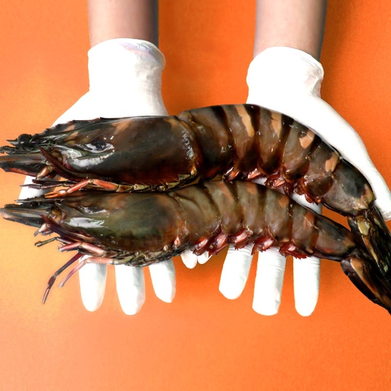 킹타이거새우장 킹타이거새우 1kg 블랙타이거 3미 8미 블랙킹 자연산 대왕 새우장용도 후기