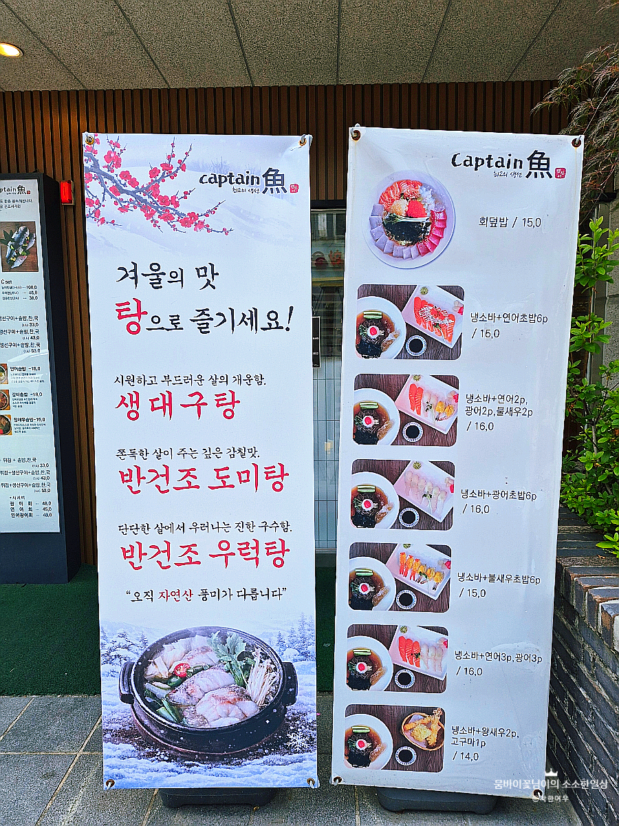 캡틴어 사진 4